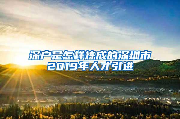 深户是怎样炼成的深圳市2019年人才引进