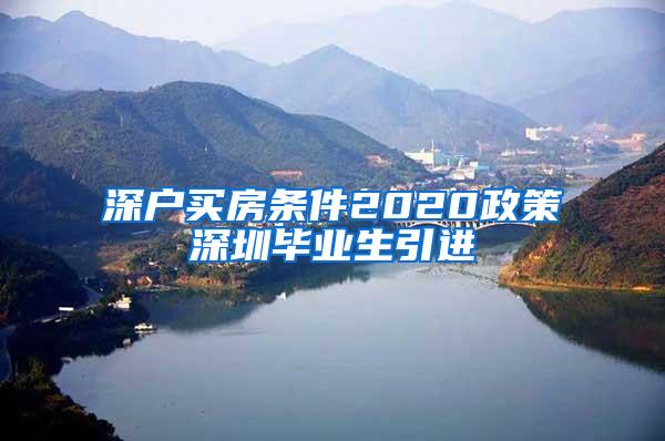 深户买房条件2020政策深圳毕业生引进