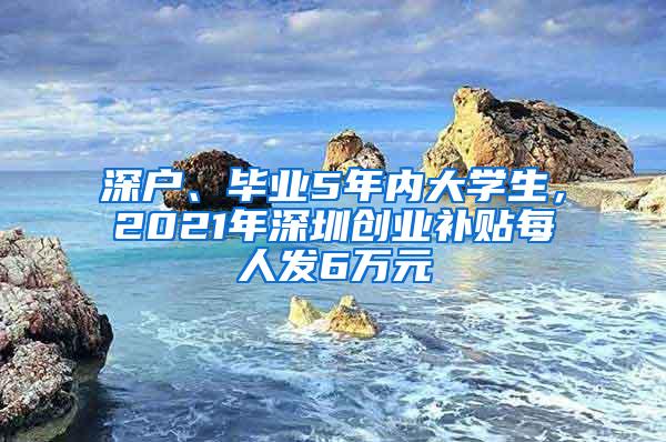 深户、毕业5年内大学生，2021年深圳创业补贴每人发6万元