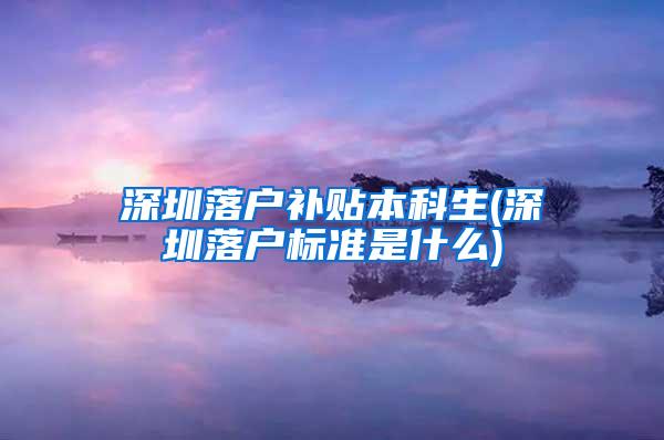 深圳落户补贴本科生(深圳落户标准是什么)