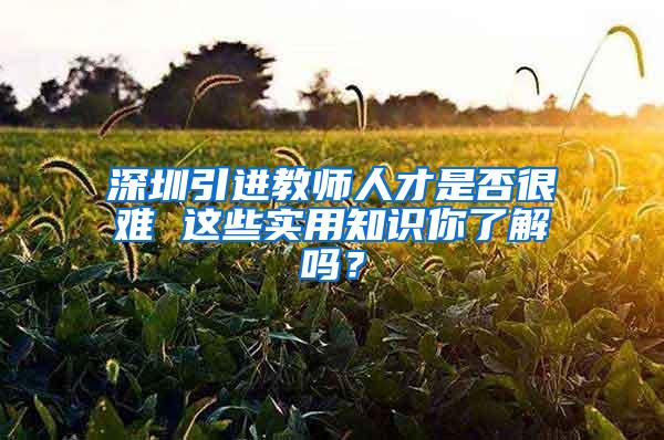 深圳引进教师人才是否很难 这些实用知识你了解吗？