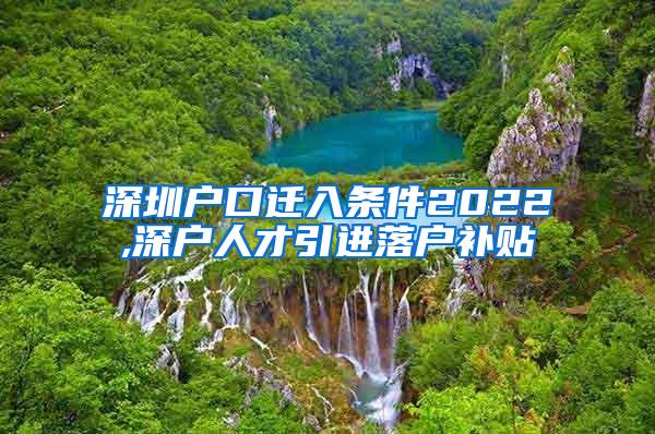 深圳户口迁入条件2022,深户人才引进落户补贴