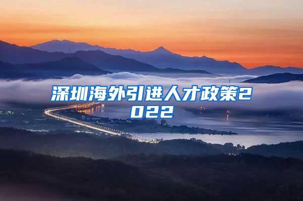 深圳海外引进人才政策2022