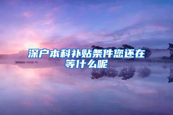 深户本科补贴条件您还在等什么呢