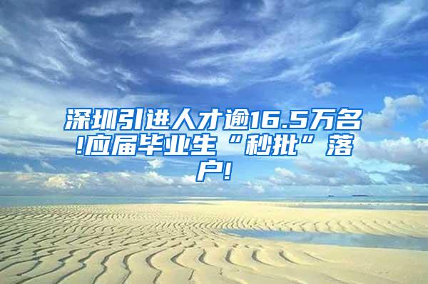 深圳引进人才逾16.5万名!应届毕业生“秒批”落户!