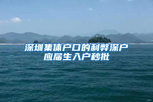 深圳集体户口的利弊深户应届生入户秒批