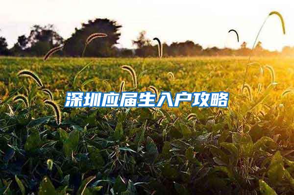 深圳应届生入户攻略