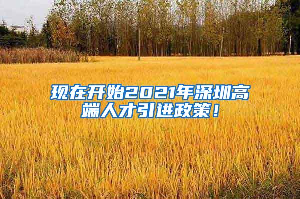 现在开始2021年深圳高端人才引进政策！