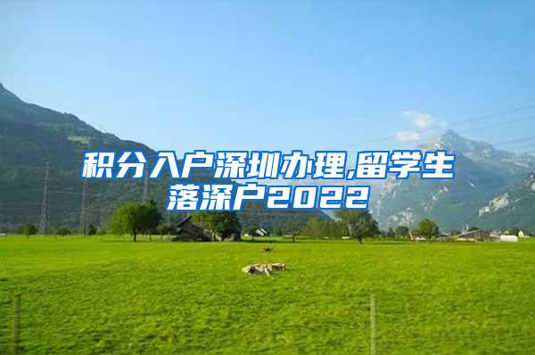 积分入户深圳办理,留学生落深户2022