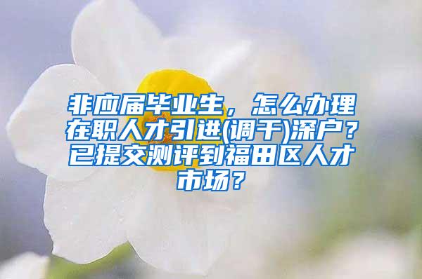 非应届毕业生，怎么办理在职人才引进(调干)深户？已提交测评到福田区人才市场？