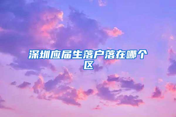 深圳应届生落户落在哪个区