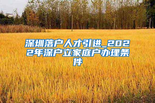 深圳落户人才引进_2022年深户立家庭户办理条件