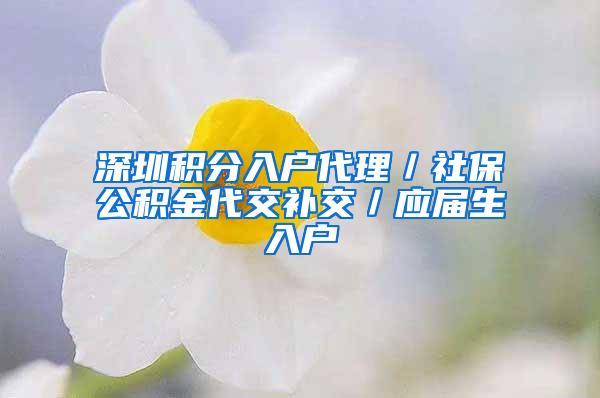 深圳积分入户代理／社保公积金代交补交／应届生入户