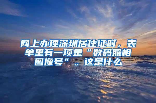 网上办理深圳居住证时，表单里有一项是“数码照相图像号”。这是什么