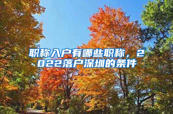 职称入户有哪些职称，2022落户深圳的条件