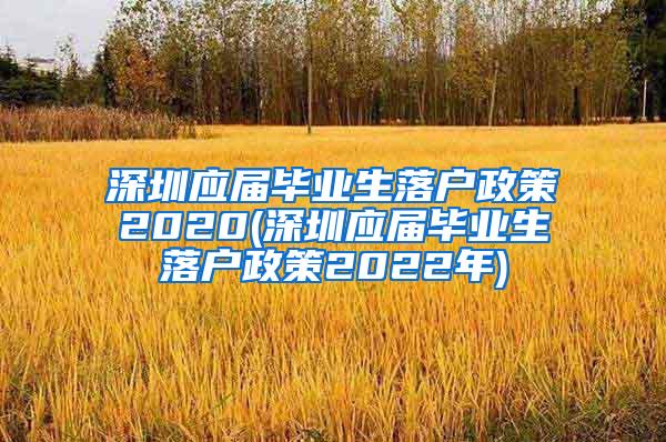 深圳应届毕业生落户政策2020(深圳应届毕业生落户政策2022年)