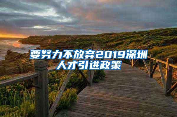 要努力不放弃2019深圳人才引进政策