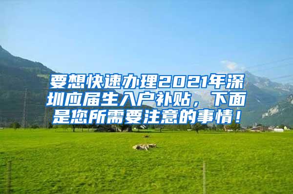 要想快速办理2021年深圳应届生入户补贴，下面是您所需要注意的事情！