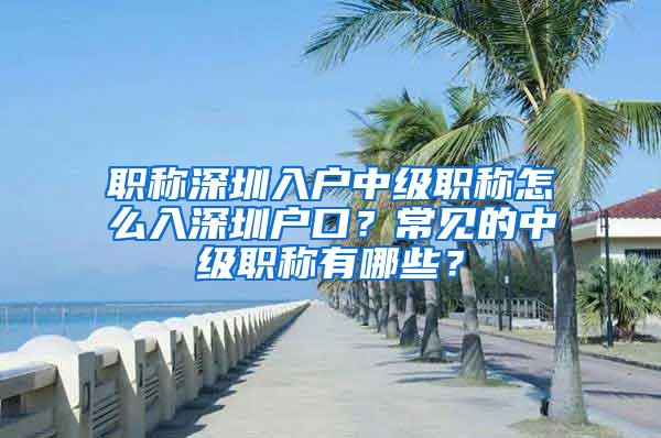 职称深圳入户中级职称怎么入深圳户口？常见的中级职称有哪些？