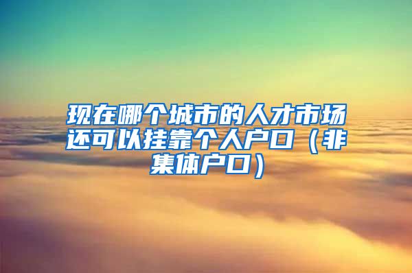 现在哪个城市的人才市场还可以挂靠个人户口（非集体户口）