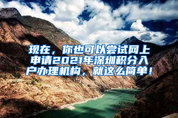 现在，你也可以尝试网上申请2021年深圳积分入户办理机构，就这么简单！