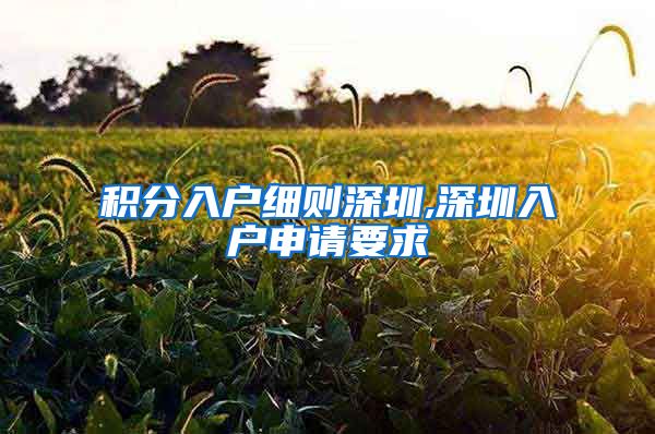 积分入户细则深圳,深圳入户申请要求