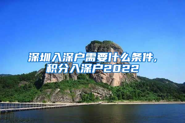 深圳入深户需要什么条件,积分入深户2022