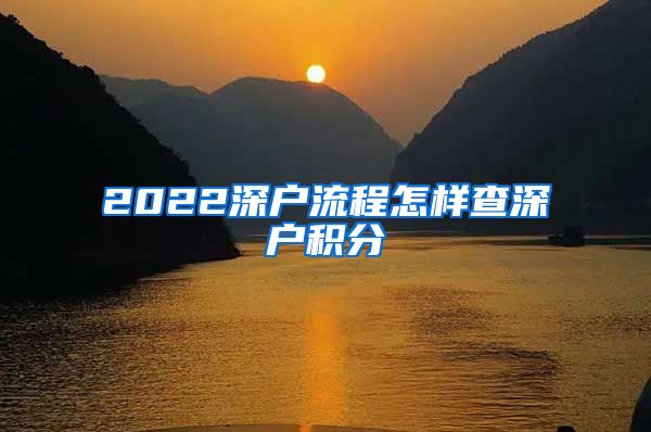 2022深户流程怎样查深户积分