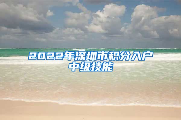 2022年深圳市积分入户中级技能