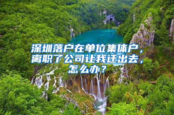 深圳落户在单位集体户，离职了公司让我迁出去，怎么办？