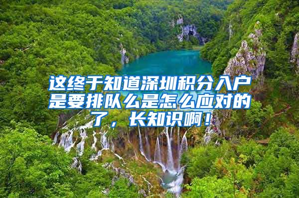 这终于知道深圳积分入户是要排队么是怎么应对的了，长知识啊！