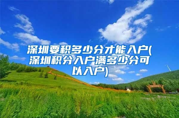 深圳要积多少分才能入户(深圳积分入户满多少分可以入户)