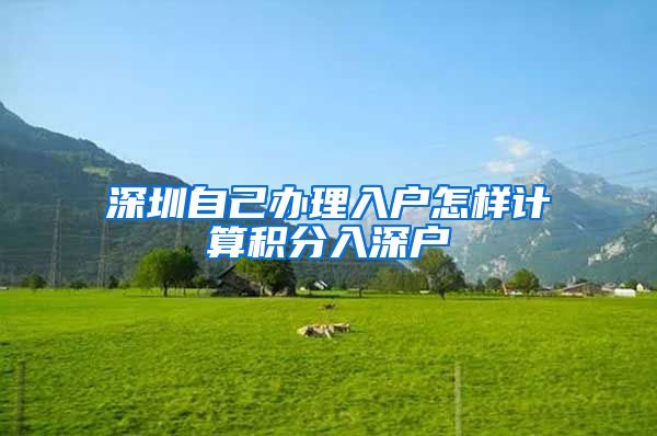 深圳自己办理入户怎样计算积分入深户