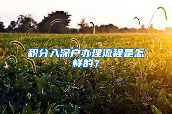 积分入深户办理流程是怎样的？