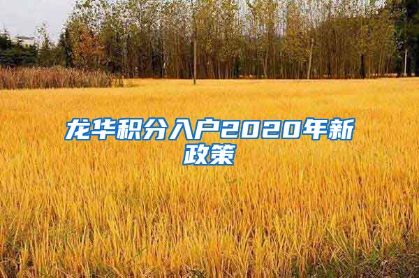 龙华积分入户2020年新政策