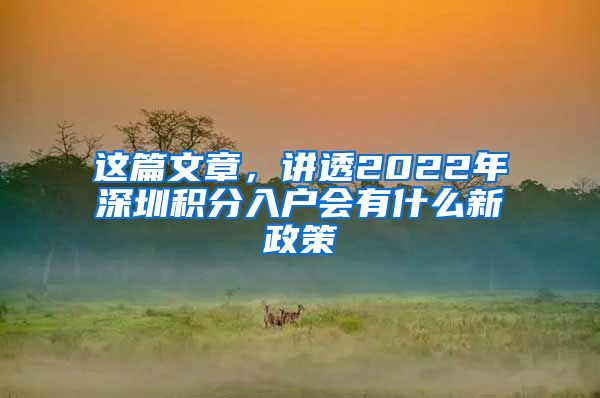 这篇文章，讲透2022年深圳积分入户会有什么新政策