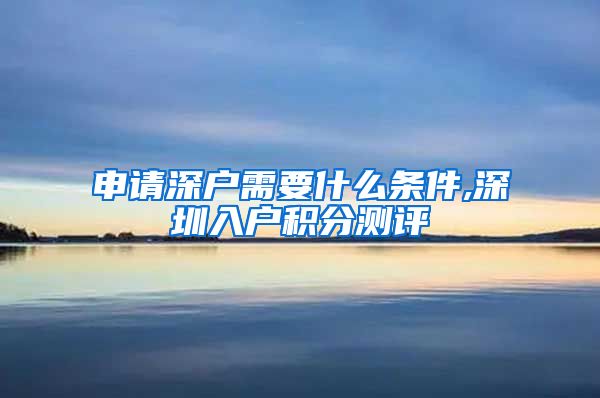 申请深户需要什么条件,深圳入户积分测评