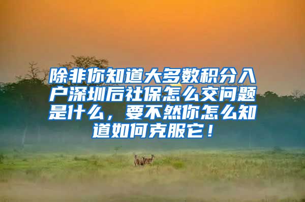 除非你知道大多数积分入户深圳后社保怎么交问题是什么，要不然你怎么知道如何克服它！