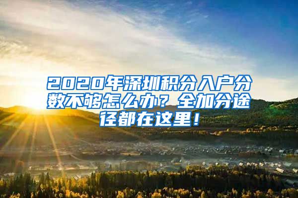 2020年深圳积分入户分数不够怎么办？全加分途径都在这里！