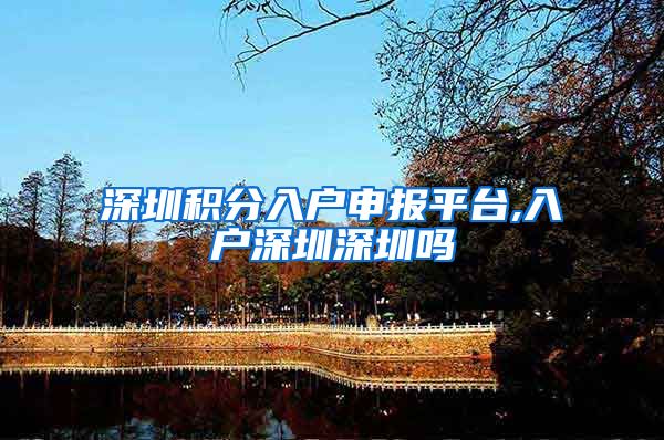 深圳积分入户申报平台,入户深圳深圳吗