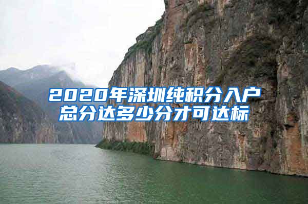 2020年深圳纯积分入户总分达多少分才可达标