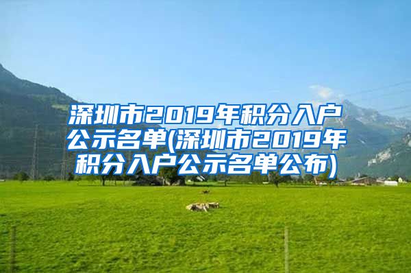 深圳市2019年积分入户公示名单(深圳市2019年积分入户公示名单公布)