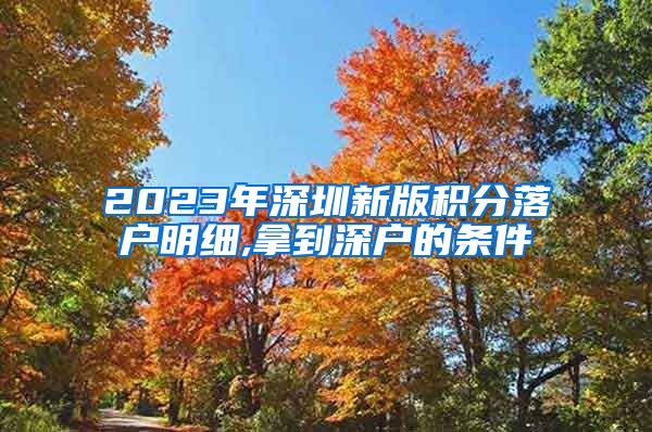 2023年深圳新版积分落户明细,拿到深户的条件