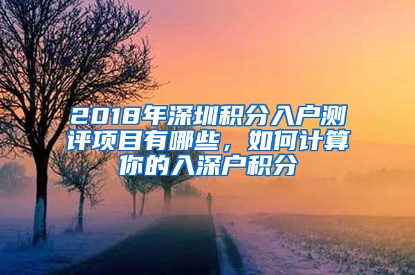 2018年深圳积分入户测评项目有哪些，如何计算你的入深户积分