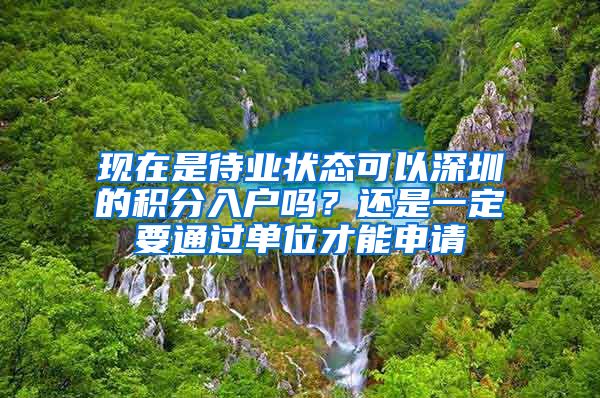 现在是待业状态可以深圳的积分入户吗？还是一定要通过单位才能申请