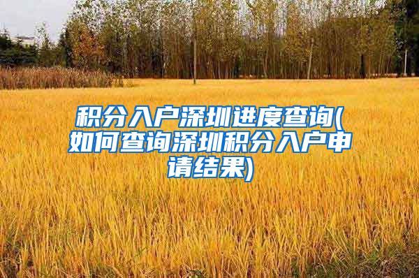 积分入户深圳进度查询(如何查询深圳积分入户申请结果)