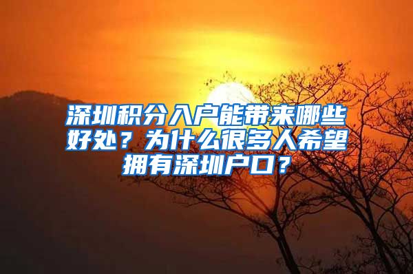 深圳积分入户能带来哪些好处？为什么很多人希望拥有深圳户口？