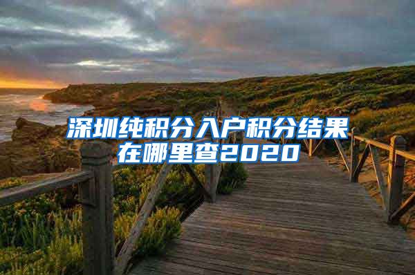 深圳纯积分入户积分结果在哪里查2020