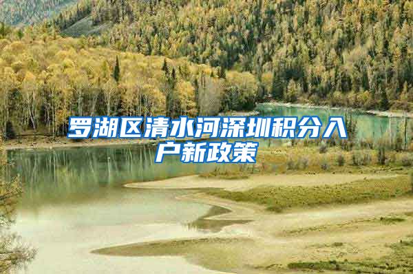 罗湖区清水河深圳积分入户新政策