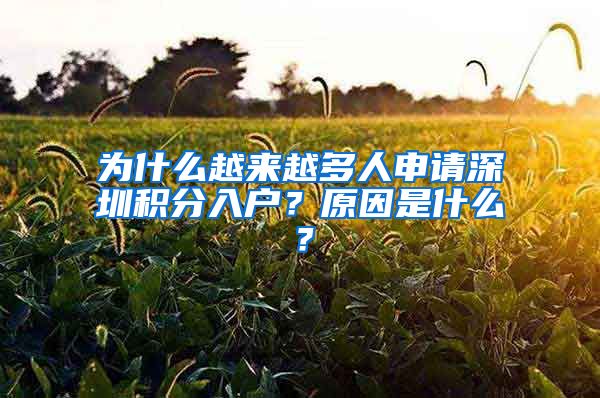 为什么越来越多人申请深圳积分入户？原因是什么？